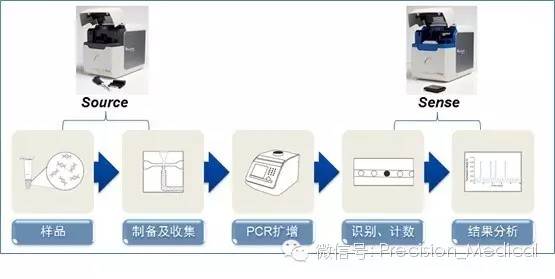 基因突变检测技术 原理、应用与未来展望