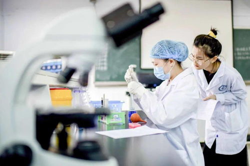 医学检验技术 连接临床与研发的创新桥梁